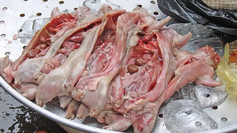 Chlazený potkan na ledu na prodejně ve Vietnamu