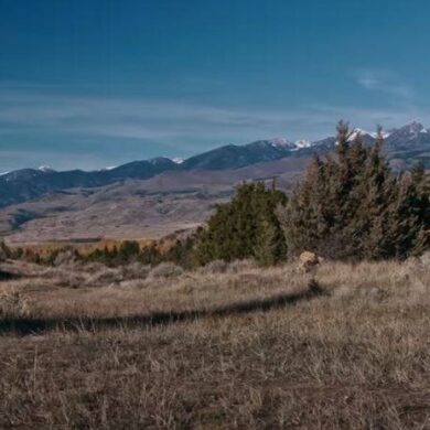 Nový film Teror na prérii