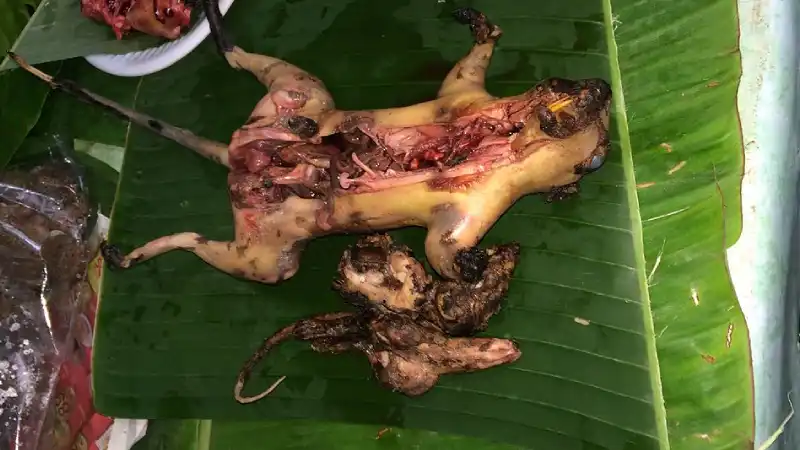 Potkan servírovaný na banánovém listu