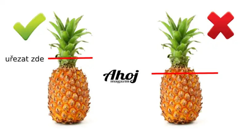 jak správně uřezat ananas aby zakořenil