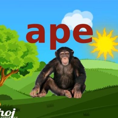 jednoduchá anglická slovíčka pro děti