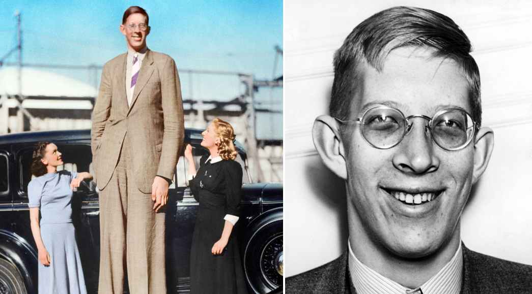 Robert wadlow nejvyšší člověk všech dob